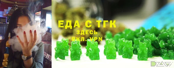 таблы Гусев