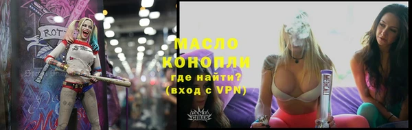 таблы Гусев