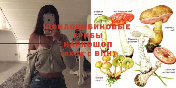 таблы Гусев