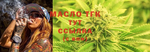 таблы Гусев