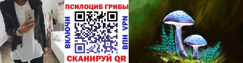 KRAKEN зеркало  Советск  Галлюциногенные грибы Psilocybe 