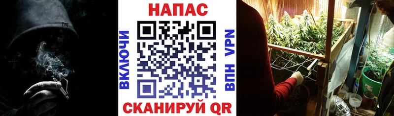 Бошки Шишки AK-47 Советск